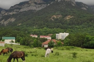 Köyümüzden Görüntüler