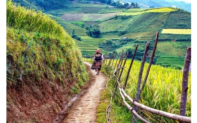  Köy Tanıtım Videosu